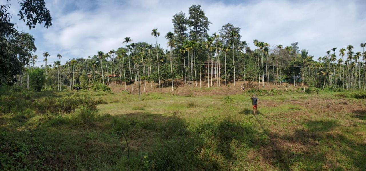 Kalidasa Tree House And Villa, Wayanad Chegāt Exteriér fotografie
