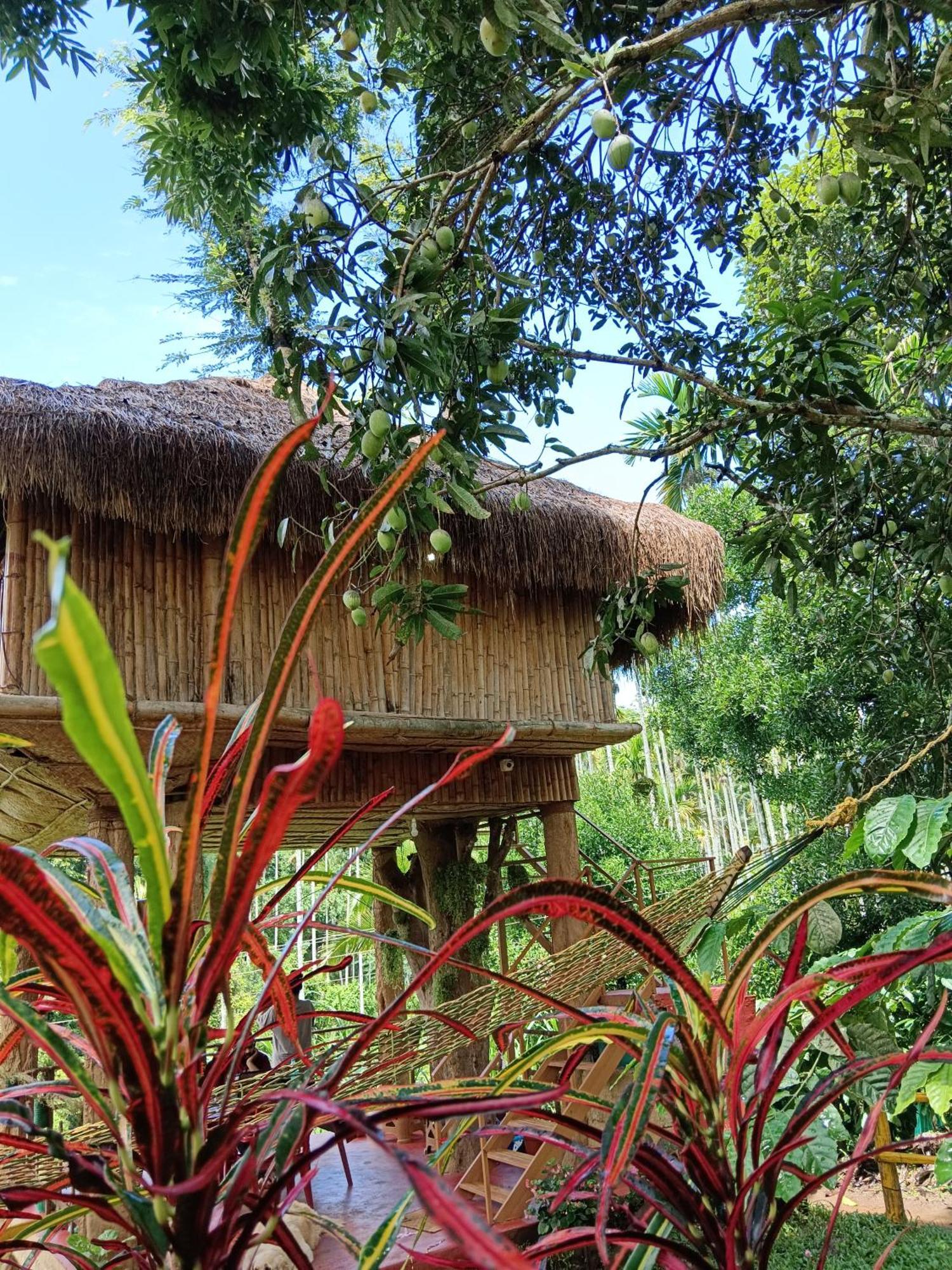 Kalidasa Tree House And Villa, Wayanad Chegāt Exteriér fotografie