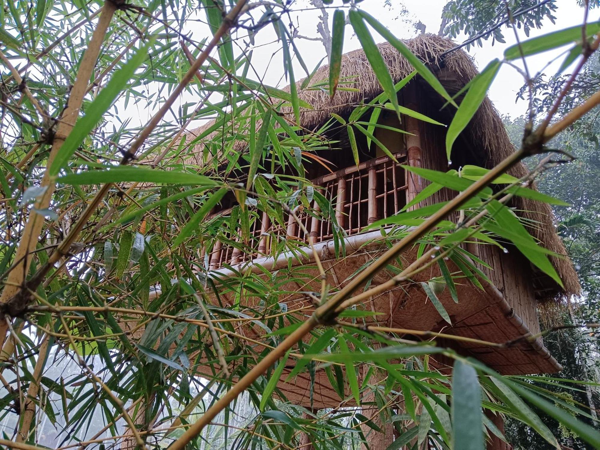 Kalidasa Tree House And Villa, Wayanad Chegāt Pokoj fotografie
