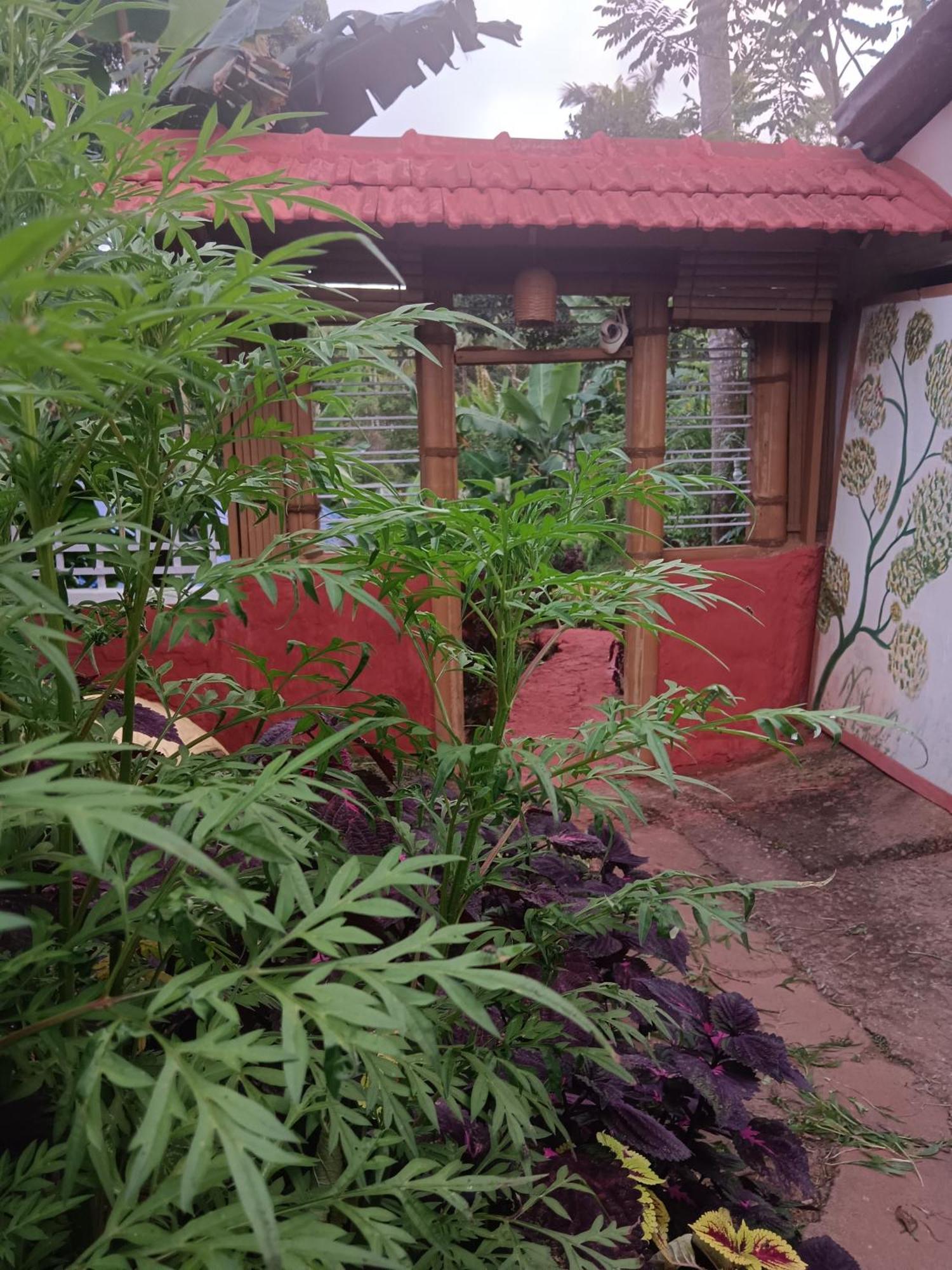 Kalidasa Tree House And Villa, Wayanad Chegāt Exteriér fotografie