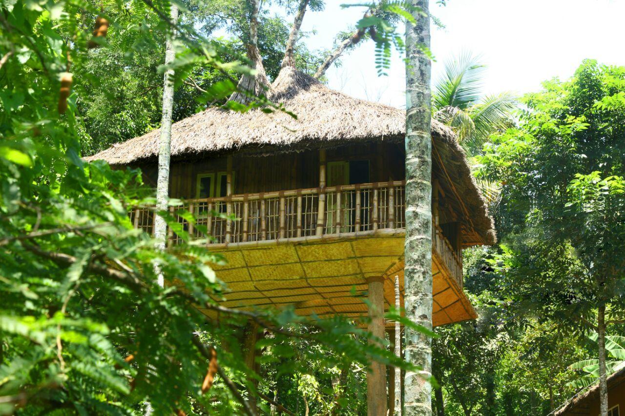 Kalidasa Tree House And Villa, Wayanad Chegāt Exteriér fotografie